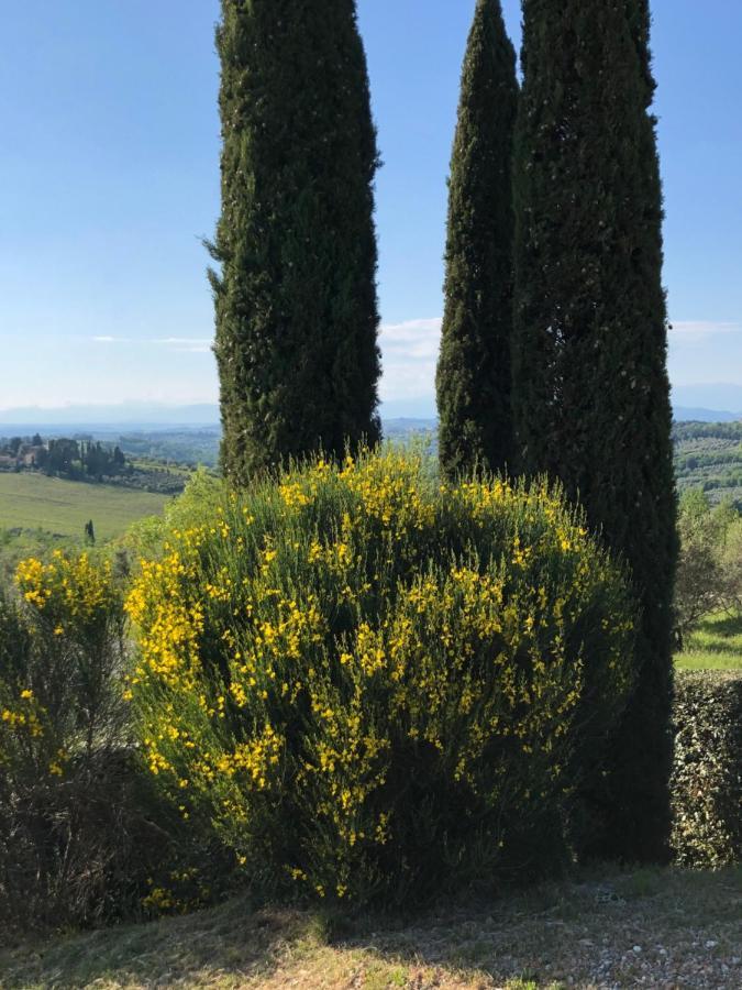 Podere Ghiole Montespertoli Dış mekan fotoğraf